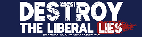 THE LIBERAL LIE